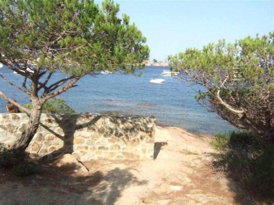 Costa Brava Sagaro Frontbeach Cala Acces Sant Feliu de Guíxols Esterno foto